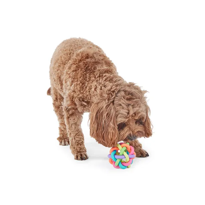 Mix Or Match 12 Rainbow Ball Dog Toy 8cm