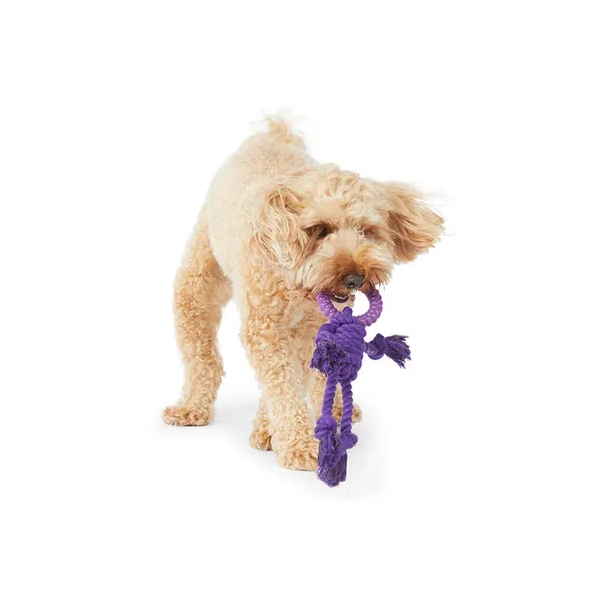 Mix Or Match 20 Rope Body wTPR Ring Head Dog Toy Asst 30cm