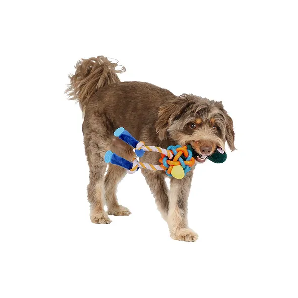 Mix Or Match 30 Bird With TPR Knot Body Dog Toy