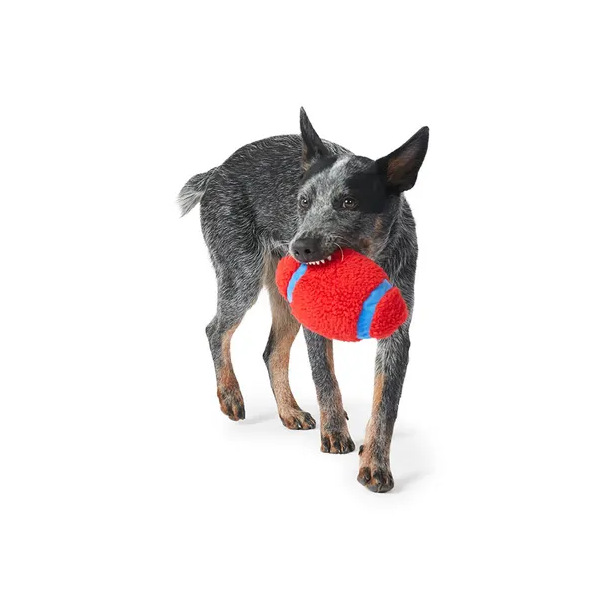 Mix or Match 12 Rugby Ball With Squeaker Asst Dog Toy 20cm