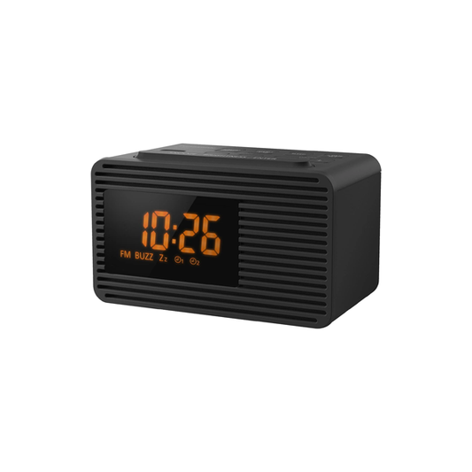 Panasonic RC-800GN Dual Alarm Clock Radio
