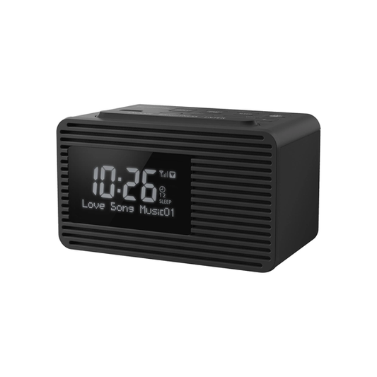 Panasonic RC-D8GN Clock & Digital Radio with USB