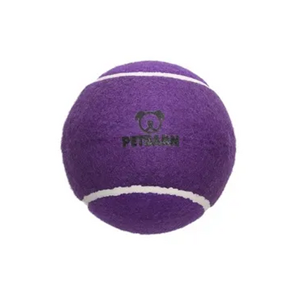 Petbarn Tennis Ball Dog Toy Purple Large
