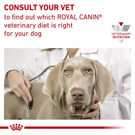 Royal Canin Veterinary Diet Hypoallergenic Dog Food 400gx12