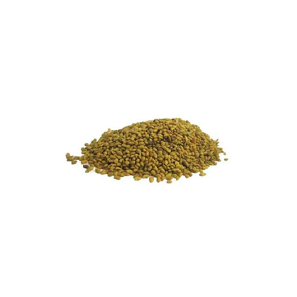 Alfalfa Seeds | 1Kg