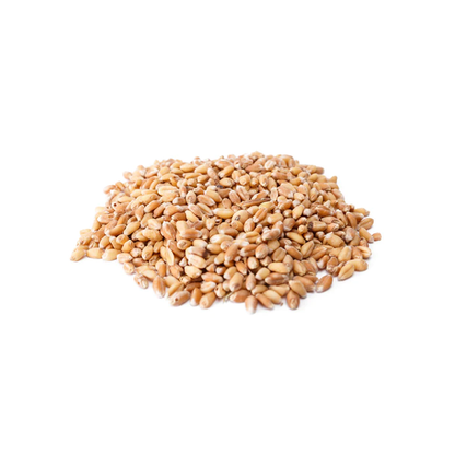 Organic Wheat Grains | 1Kg