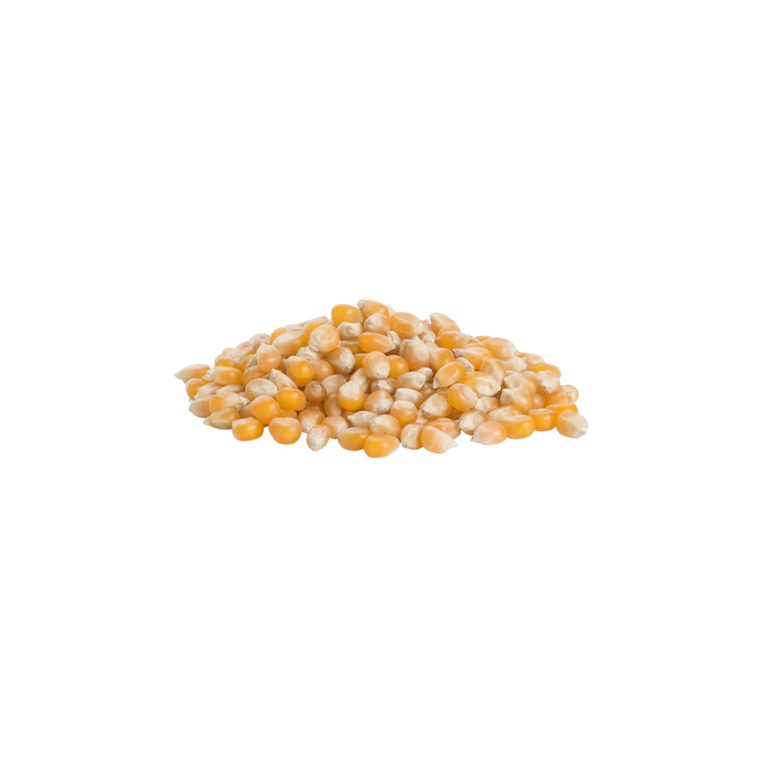 Popcorn Kernels | 1Kg