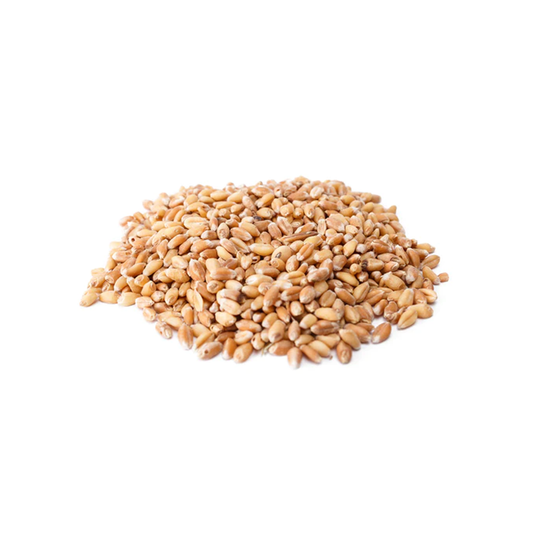 Wheat Grains | 1Kg